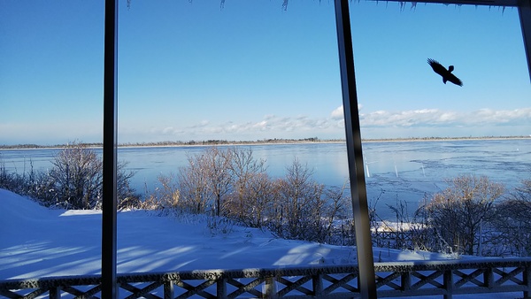 ���̉w �X�����S�S�˂ނ�