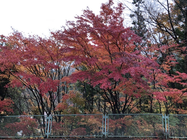 �����V�Z�� �X�}�[�g�{�[��