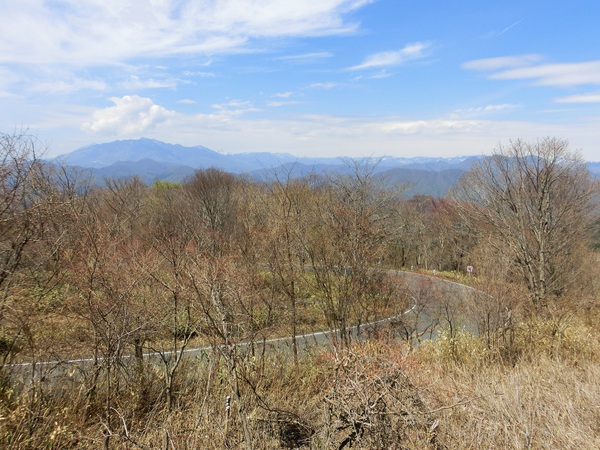 �������݂����C��