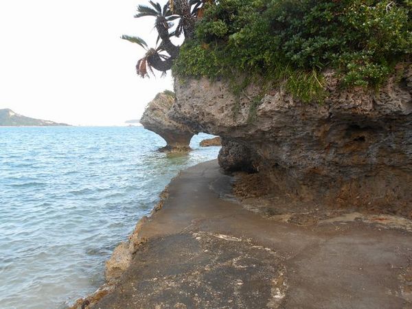 �A�}�~�`���[�̕�