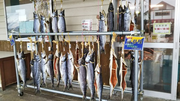 ���{�C�N���Z���^�[�V��X