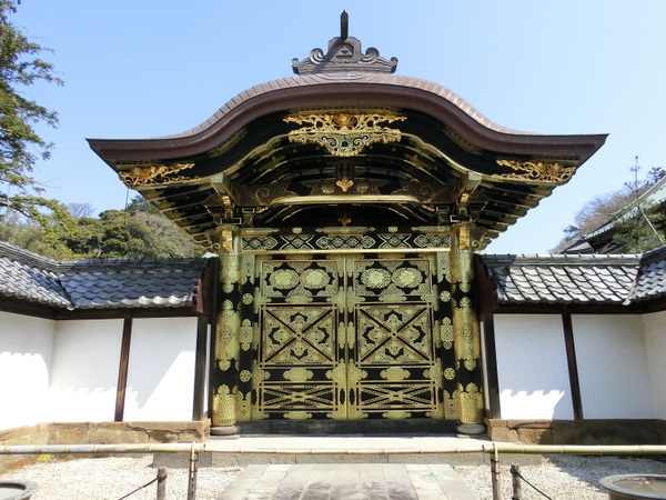 ����(�������j