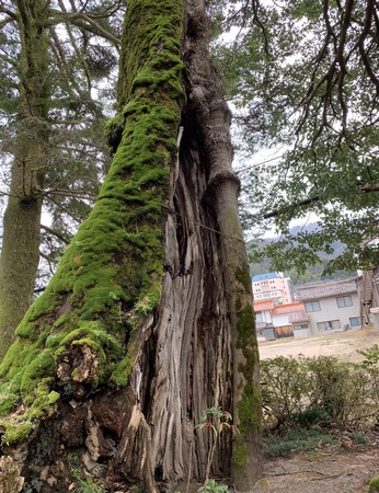 �O���_��