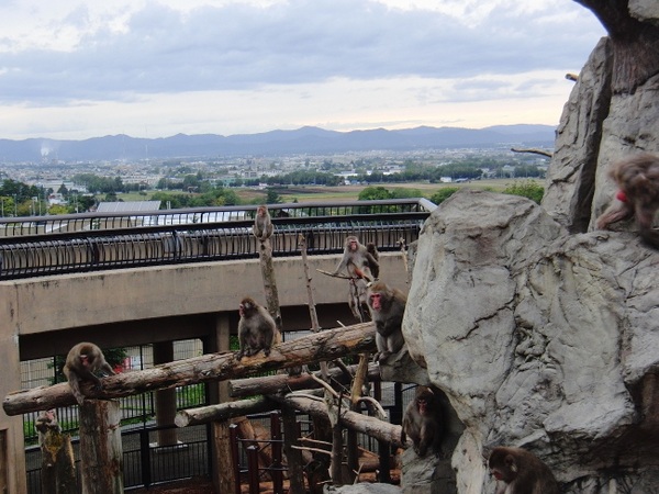 ���R������