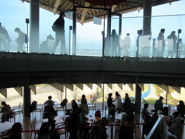 ���{�����e���X