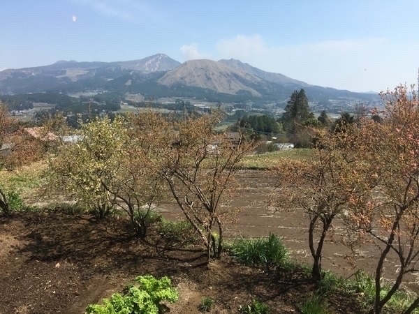 �C���i�L�J�[