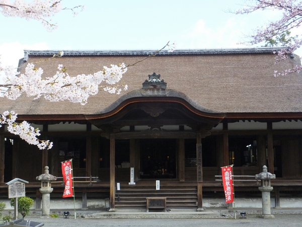 �O�䎛�߉ޓ�