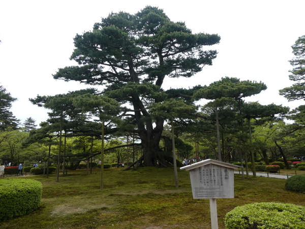 �����̏��i���Z���j