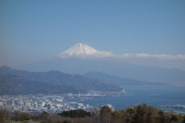 ���{�����e���X