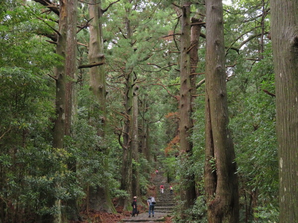 �F��Ó��@����