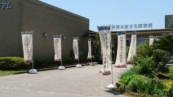 Ƃ~[WAi΂ƉԂƒ̔فj