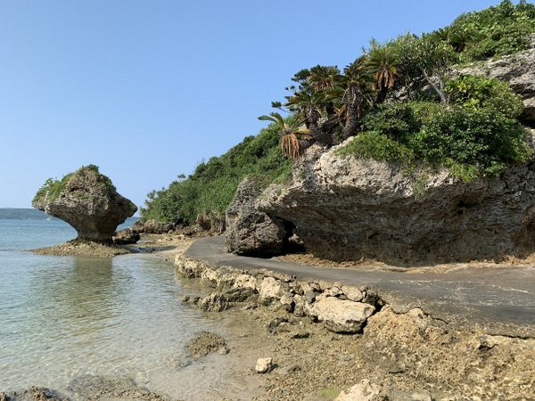 �A�}�~�`���[�̕�