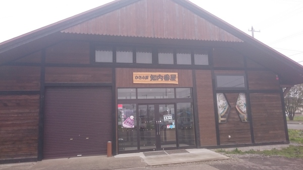 ���������m���ԉ�