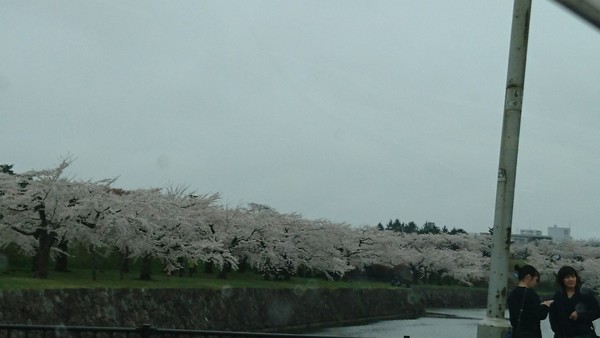 �ܗŊs�����̍�