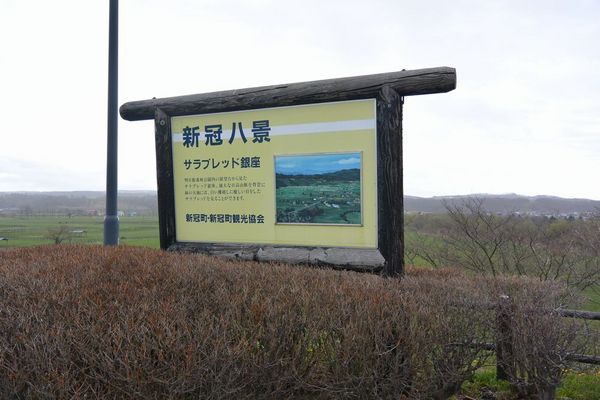 �V���T���u���b�h���