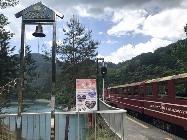 �����Ώ�w