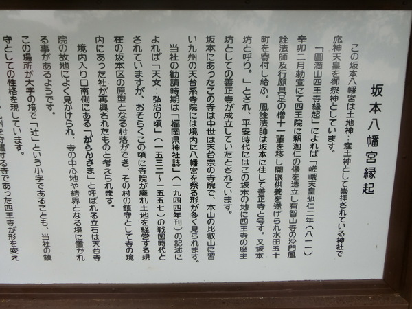 ��ɕ{�@��{�����{