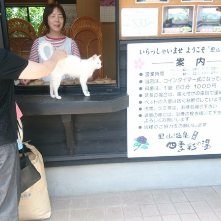 ���R����@�l�G�ʂ̓�