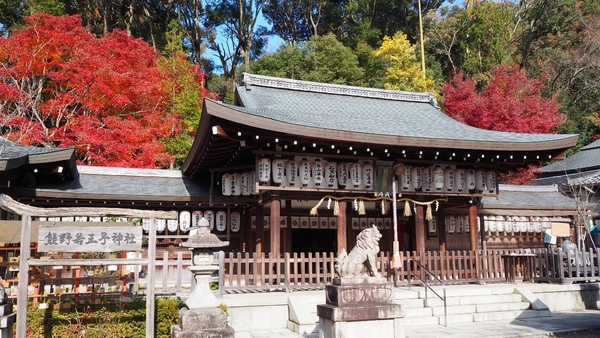 �F��ቤ�q�_��