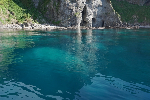 �����W�]�D��j���[���Ⴑ���񍆣