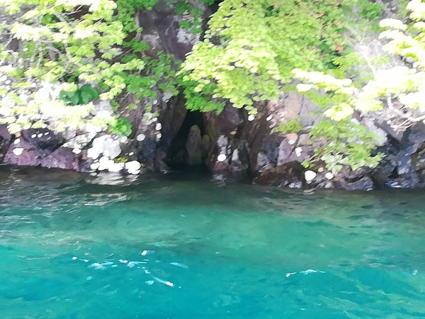 �\�a�c�΁@�_�ブ�Y�@�`���̃L���X�g��