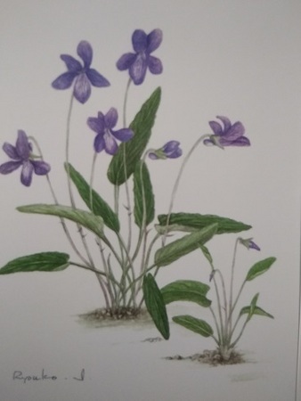 �m���^�P�M�������[