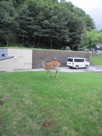 �w�_������