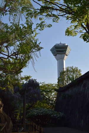 �ܗŊs����