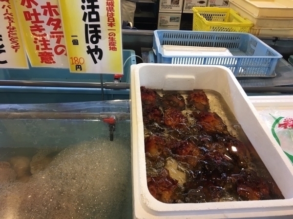 ���������Ȏs��