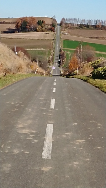 �W�F�b�g�R�[�X�^�[�̘H