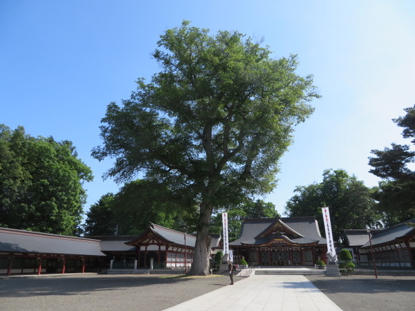 �k�C���썑�_��