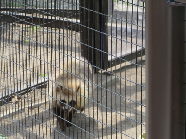 ���R������