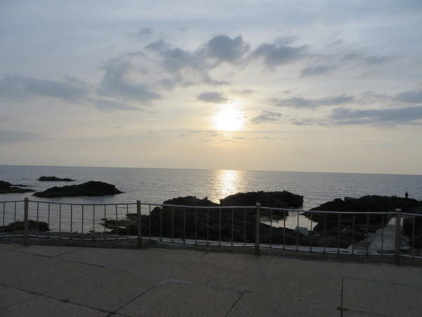 �������C�l����