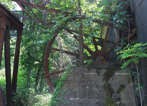 ���k�Y��t�ʒY�z����