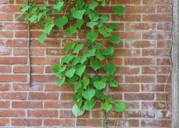 ���k�Y��t�ʒY�z����