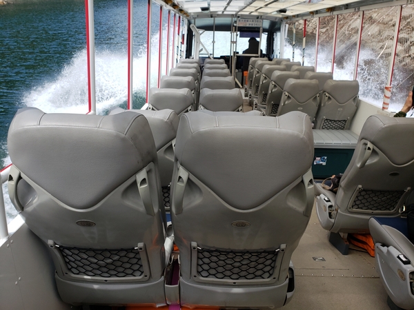 ������_��