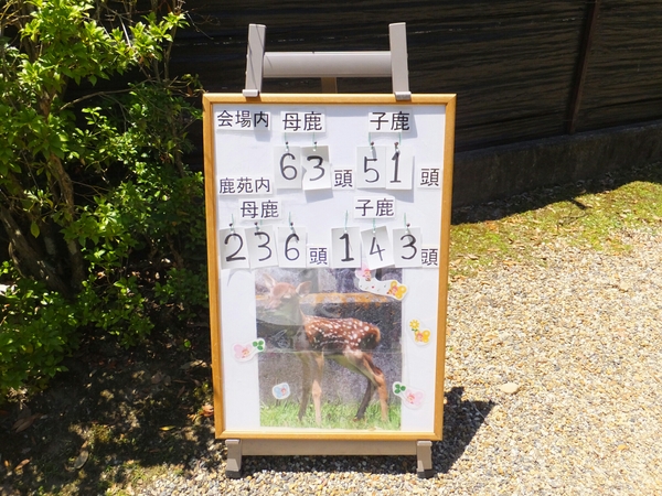 �ޗǂ̎� �����