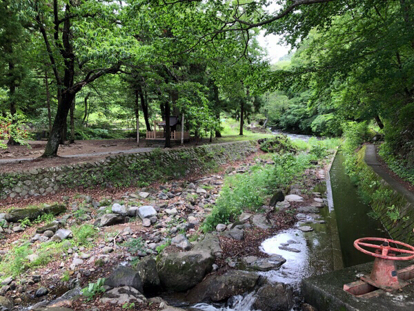 �z�K��� ���Џt�{ ������