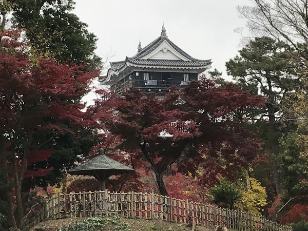 岡崎公園の紅葉の写真一覧 じゃらんnet
