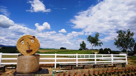 �V�h�̋u�W�]����