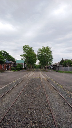 �k�C���J��̑�