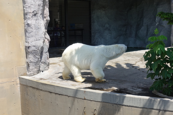 ���R������