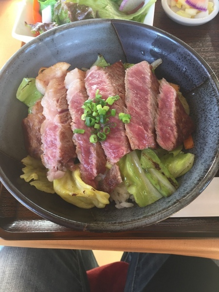 ���̉w�@�ߐ{�����F���̐X