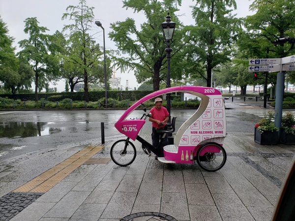 �V�N���|���^���W���p��