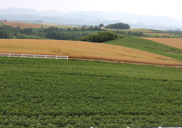 �p�m���}���[�h