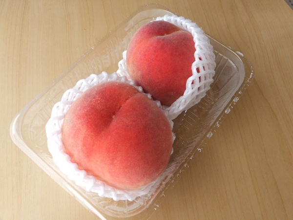 EXPASA�k����T�[�r�X�G���A(����)