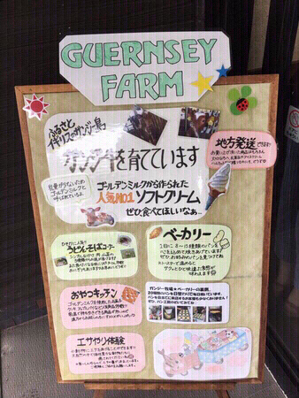 �K���W�[�t�@�[��