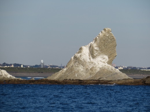 ���ڂ���