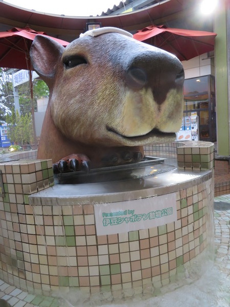 �ɓ��������̉w�����ς�ہ[��