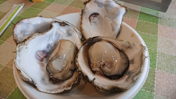 ���̉w���݃O�����p�[�N�E���ݖ��o�^�[�~�i���E�R���L���G